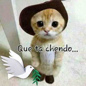 Meet your Posher, Roy